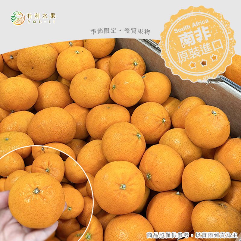 南非砂糖橘