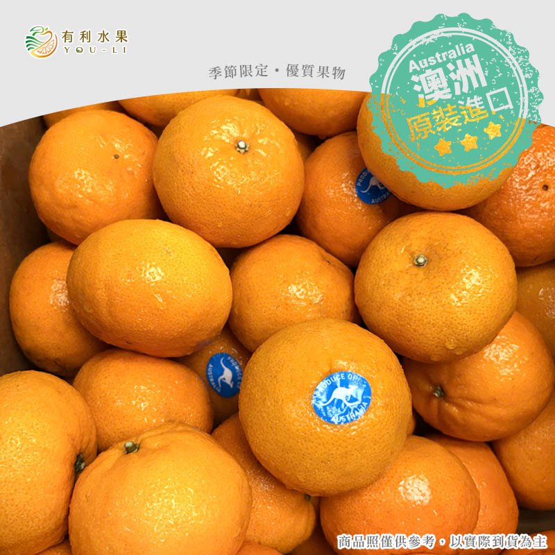 澳洲砂糖橘